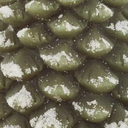 Bougie Sapin verte OU blanche - 370g H15cm