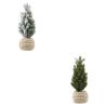 Sapin branches vertes OU enneigées en pot corde - H15cm