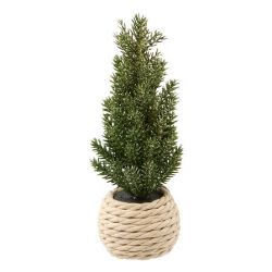 Sapin branches vertes OU enneigées en pot corde - H15cm