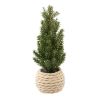 Sapin branches vertes OU enneigées en pot corde - H15cm