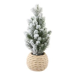Sapin branches vertes OU enneigées en pot corde - H15cm