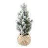 Sapin branches vertes OU enneigées en pot corde - H15cm