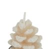 4 Bougies Chauffe-plat - Pommes de pin enneigée