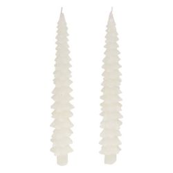 2 Bougies Bâton - Sapin blanc