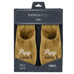 Pantoufles Homme - Papy Cool - Taille unique 40-42