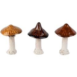 CHAMPIGNON MARRON CLAIR OU...