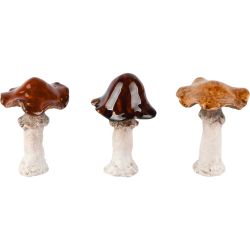 CHAMPIGNON MARRON CLAIR OU...