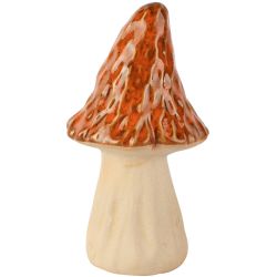 CHAMPIGNON ORANGE/CREME...