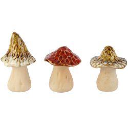 CHAMPIGNON VERT OU MARRON...