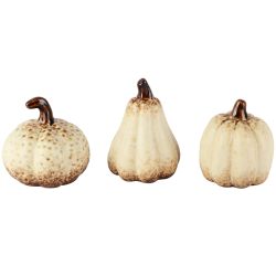 CITROUILLE DECO...