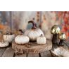 CITROUILLE DECO CREME/MARRON CERAMIQUE 16X16X16CM - DEKORATIEF