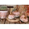 CITROUILLE DECO ROSE/CREME PORCELAINE 11X11X10CM - DEKORATIEF