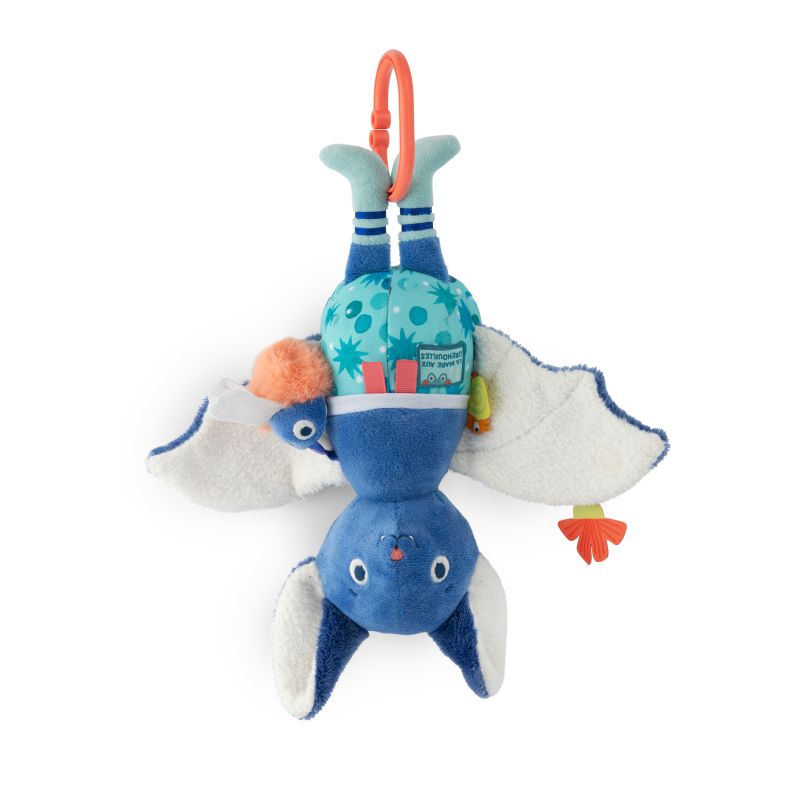 CHAUVE-SOURIS D'ACTIVITÉS SIMONE LA MARE AUX GRENOUILLES - MOULIN ROTY