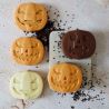 MOULE EN SILICONE - MULTI CITROUILLES - SCRAPCOOKING