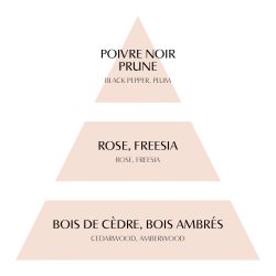 RECHARGE DE PARFUM D'AMBIANCE LES INTEMPORELLES 200 ML  CEDRE ETERNEL
