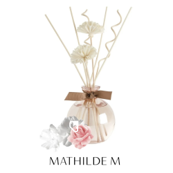 DIFFUSEUR DE PARFUM...