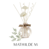 DIFFUSEUR DE PARFUM DAMBIANCE - JARDIN DES FANTAISIES - CEDRE ETERNEL