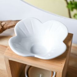 BRÛLE PARFUM NATURÉA PLUMERIA - ZEN ARÔME