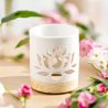 BRÛLE PARFUM SÉRIE CERAMY NÉNUPHAR - ZEN ARÔME