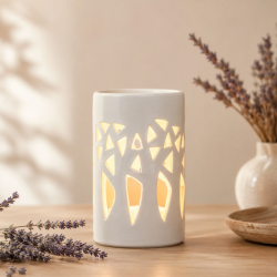 BRÛLE PARFUM FORÊT BLANC - ZEN ARÔME
