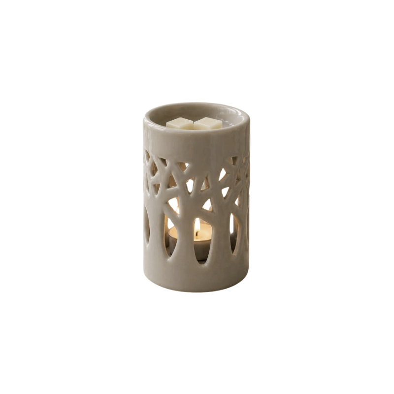 BRÛLE PARFUM FORÊT GRIS - ZEN ARÔME