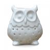BRÛLE PARFUM HIBOU - ZEN ARÔME