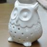 BRÛLE PARFUM HIBOU - ZEN ARÔME