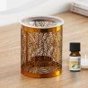 BRÛLE PARFUM SÉRIE MÉTALLY LEAVES - ZEN ARÔME