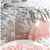 EPICEA BLANC et PAMPLEMOUSSE - GRANDE JARRE - YANKEE CANDLE
