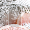 EPICEA BLANC et  PAMPLEMOUSSE - MOYENNE JARRE - YANKEE CANDLE