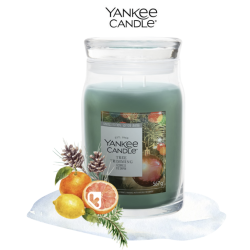 ECORCES DE SAPIN - BOUGIE...